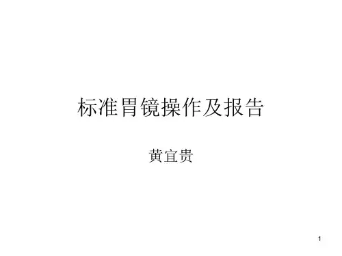 标准胃镜操作及报告ppt课件