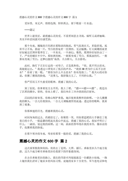 震撼心灵的作文600字