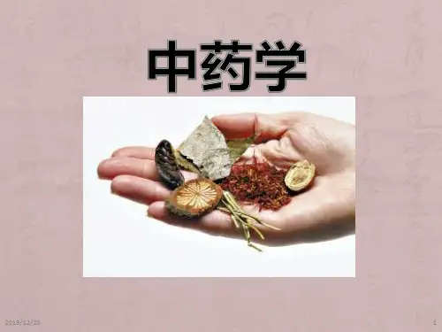 中药学清热药清热泻火药PPT课件