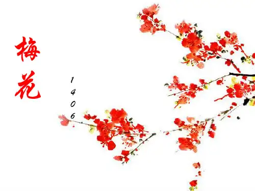 梅花详细介绍PPT课件