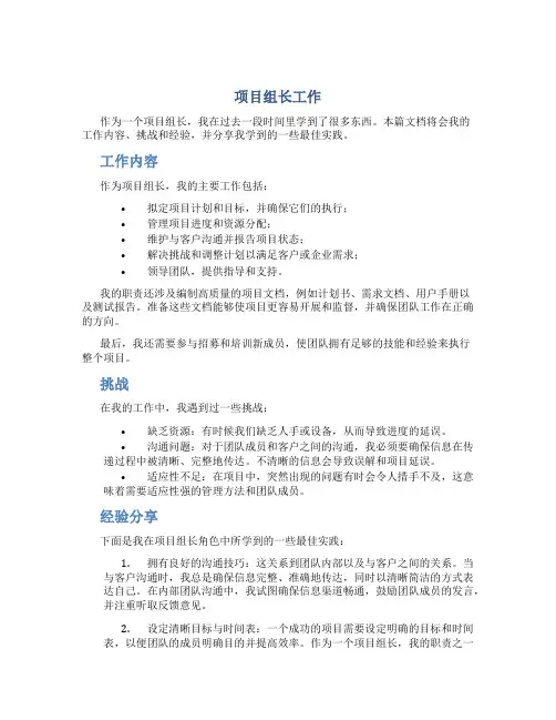 项目组长工作总结