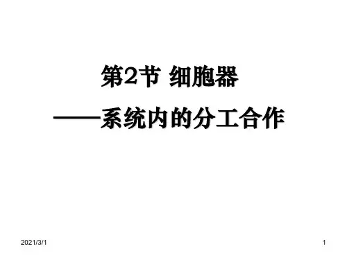 生物《细胞器-系统内的分工合作》PPT精品课件
