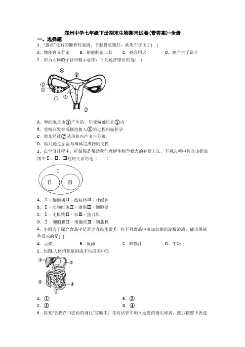 郑州中学七年级下册期末生物期末试卷(带答案)-全册