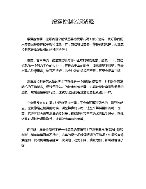爆震控制名词解释