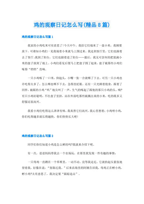 鸡的观察日记怎么写(精品8篇)