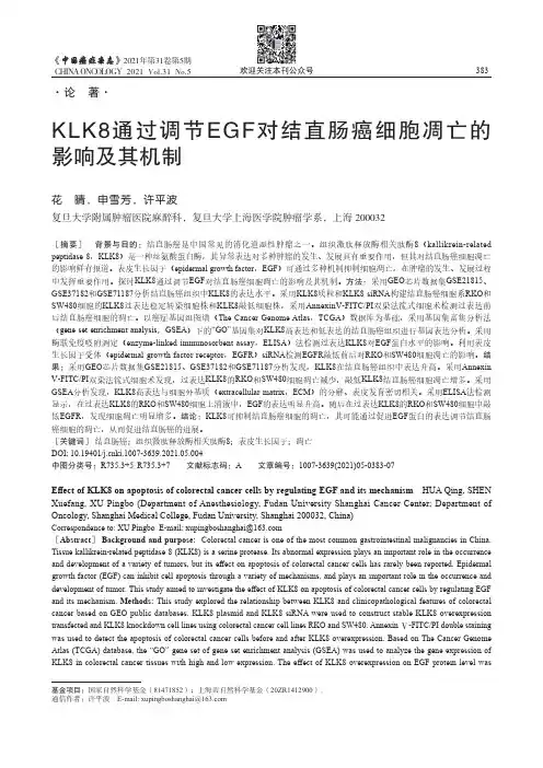 KLK8通过调节EGF对结直肠癌细胞凋亡的影响及其机制