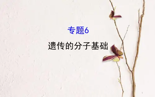 高三生物二轮复习 2.6 专题6 遗传的分子基础课件.pptx