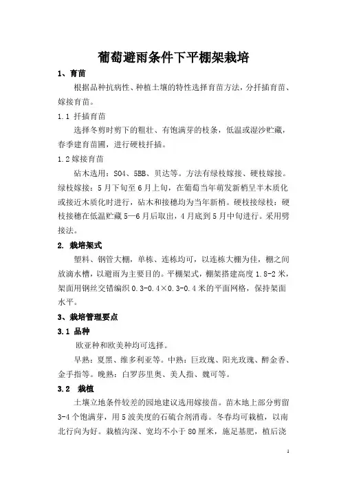 葡萄避雨条件下平棚架栽培