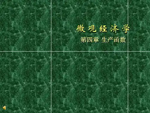 微观经济学_第四章_生产函数-ppt课件