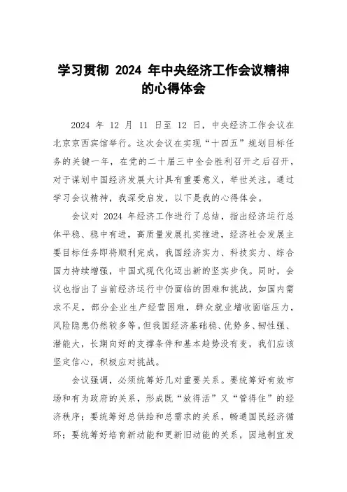 2024年中央经济工作会议精神心得体会发言材料