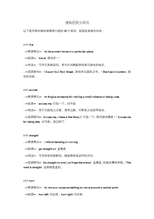 摸鱼的英文单词