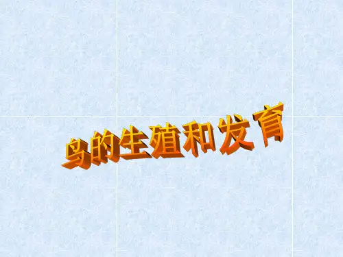 人教版八年级下册7.1.4鸟的生殖和发育(20张ppt)