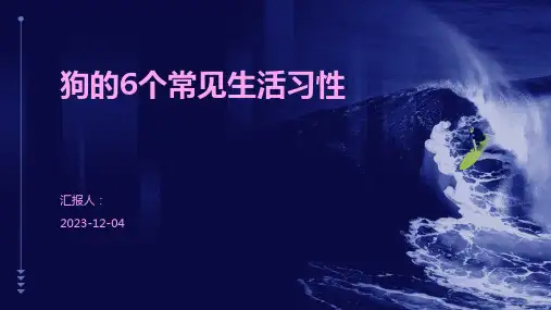 狗的6个常见生活习性