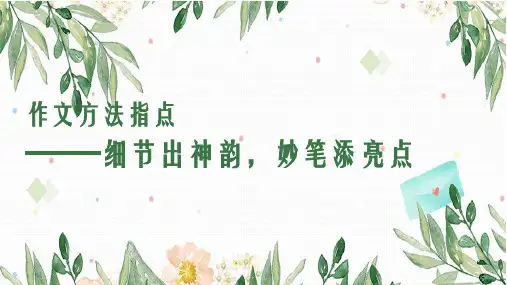 作文训练之细节描写课件