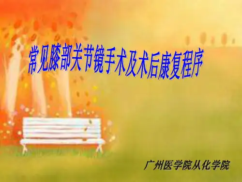 常见膝部关节镜手术和术后康复程序(1)