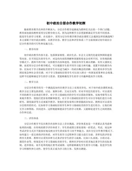 初中政治分层合作教学初探