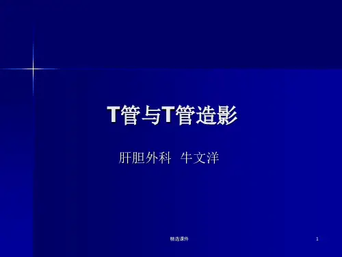 T管与T管造影