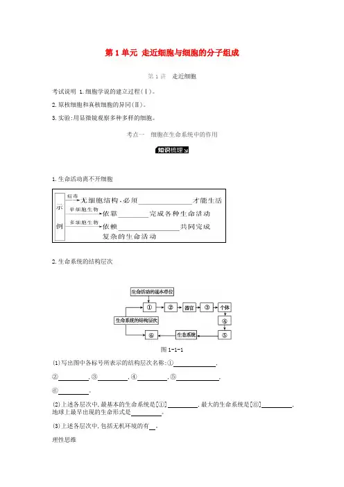 2019届高考生物一轮复习 第1单元 走近细胞与细胞的分子组成听课学案