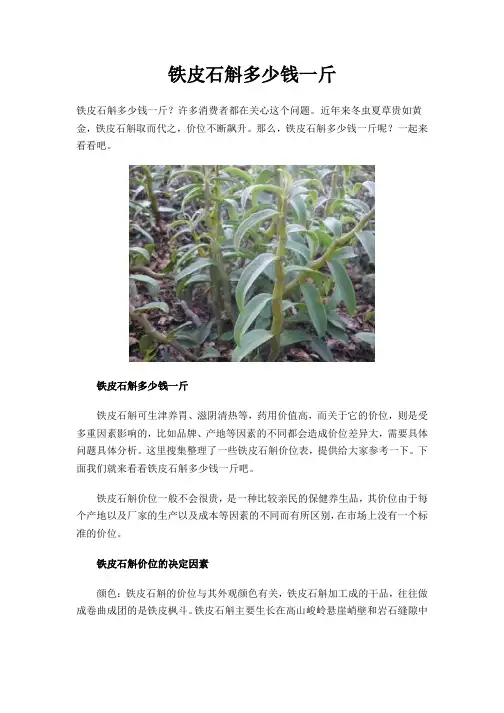 铁皮石斛多少钱一斤