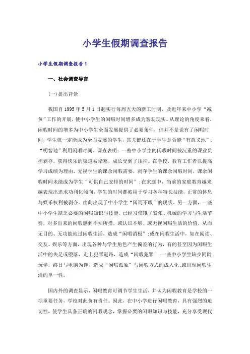 小学生假期调查报告