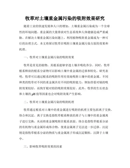牧草对土壤重金属污染的吸附效果研究