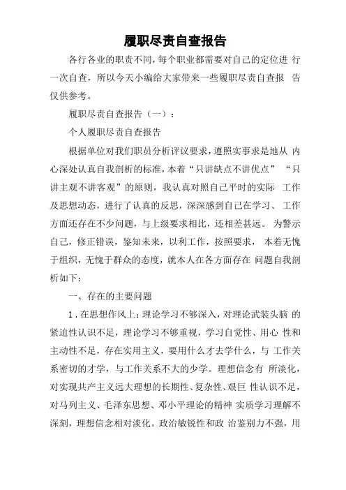 履职尽责自查报告