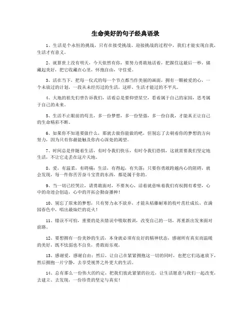 生命美好的句子经典语录