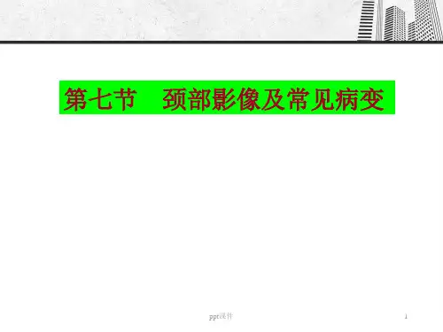 颈部影像  ppt课件