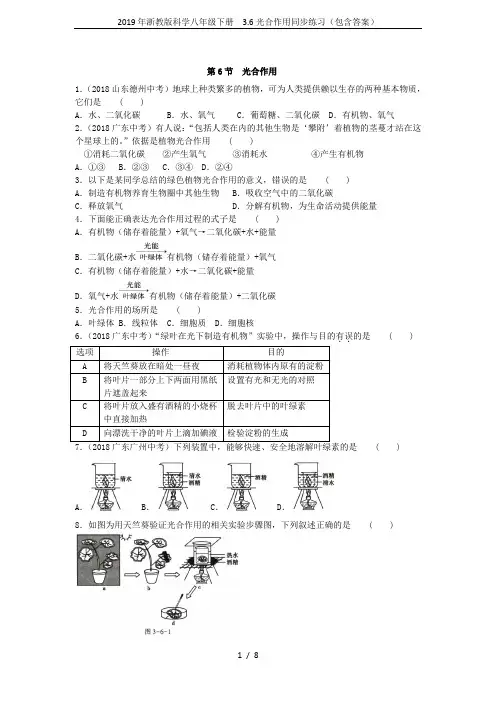 2019年浙教版科学八年级下册  3.6光合作用同步练习(包含答案)