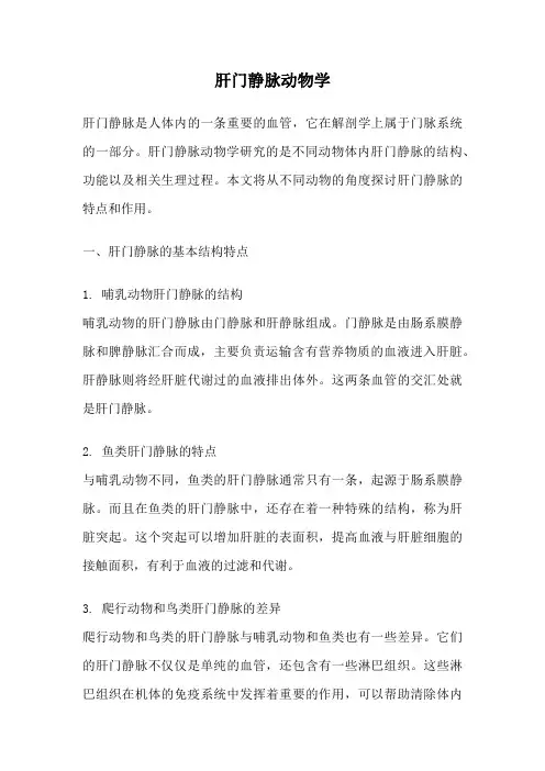 肝门静脉动物学