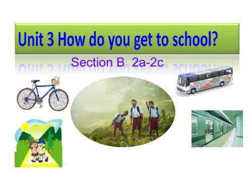 人教英语七年级下册Unit3Section B 2a—2c(共42张PPT)