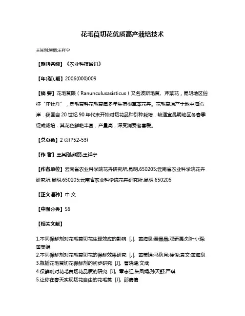 花毛茛切花优质高产栽培技术