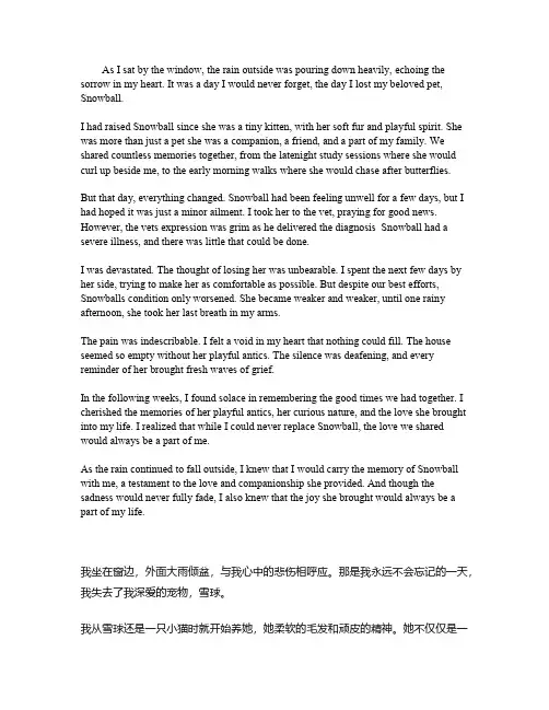 伤心的经历英语作文带翻译