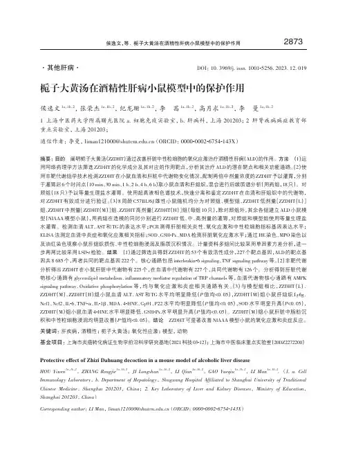 栀子大黄汤在酒精性肝病小鼠模型中的保护作用