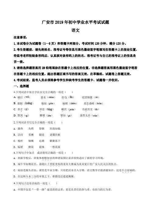 【真题】2019年四川省广安市中考语文试题(原卷版)