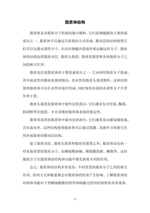 脂质体结构