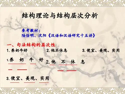 《汉语和汉语研究十五讲》陆俭明 ppt课件