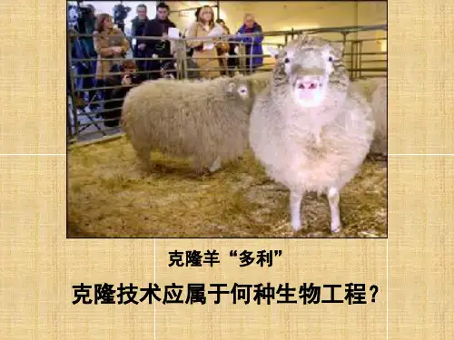 植物细胞工程课件