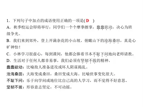 七下语文(部编版)课件-期末专题复习 专题三 成语运用