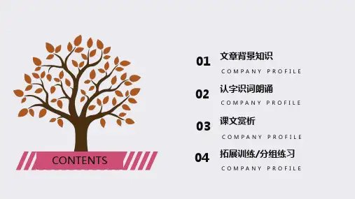 手绘风教育培训PPT模板