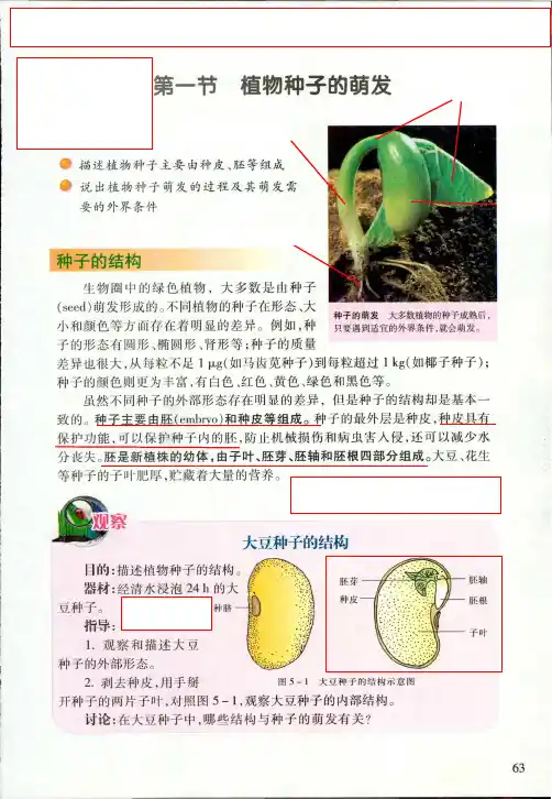 植物种子的萌发