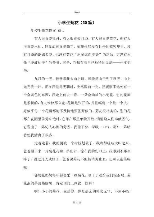 小学生菊花(30篇)
