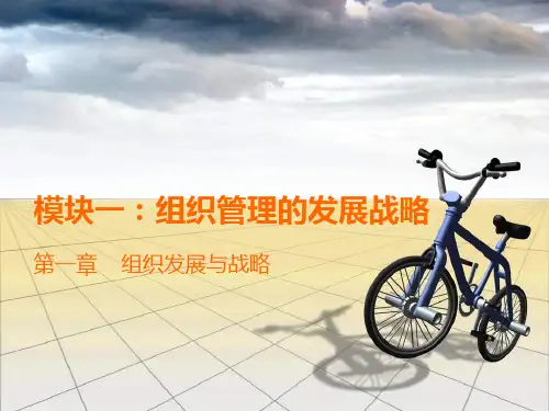 模块一：组织管理的发展战略