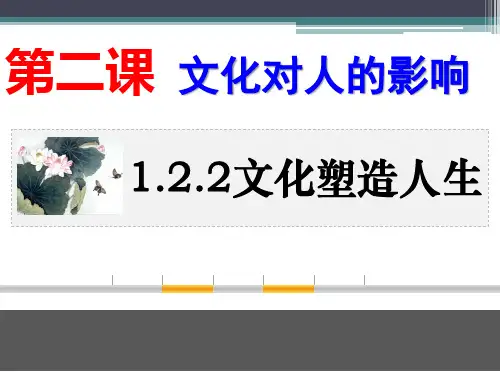 人教高中政治必修三2.2文化塑造人生