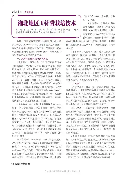 湘北地区玉针香栽培技术