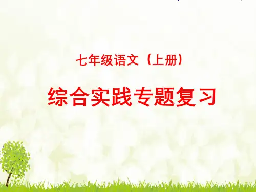 七年级上册综合实践复习-课件
