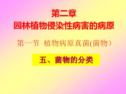 2-2菌物的分类及主要类群