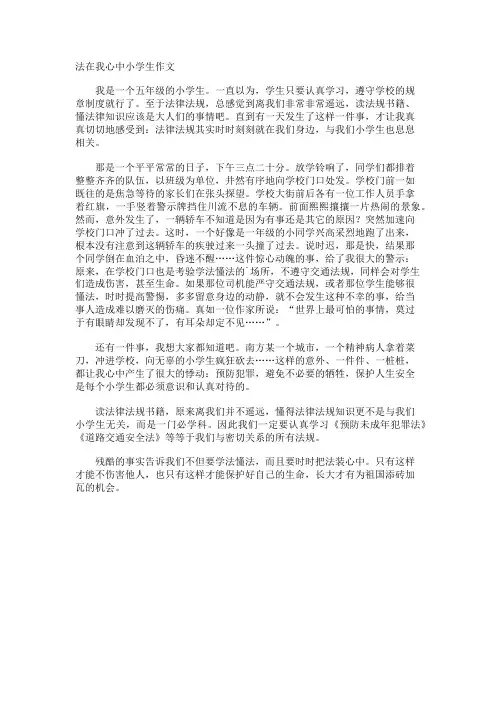 法在我心中小学生作文