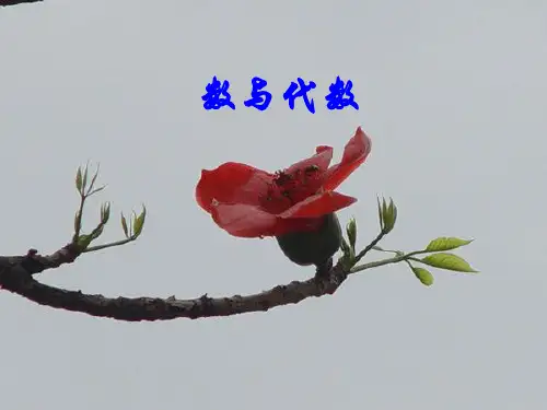 六年级数学下册课件-6.1.2数的运算 - 冀教版(共18张PPT) (1)