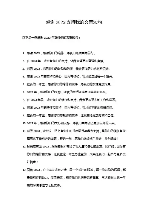 感谢2023支持我的文案短句